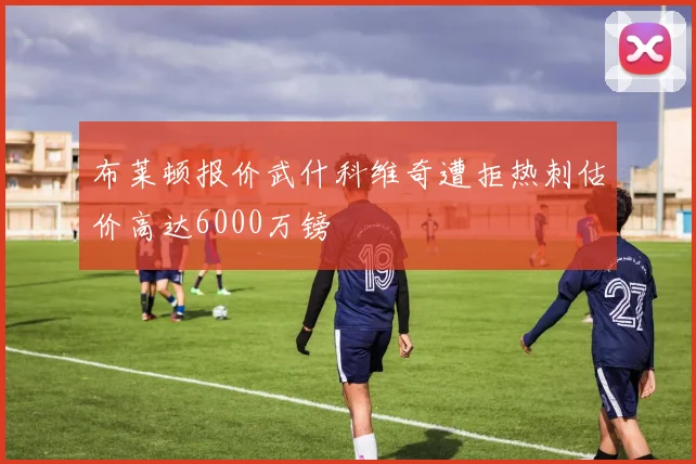 布莱顿报价武什科维奇遭拒热刺估价高达6000万镑