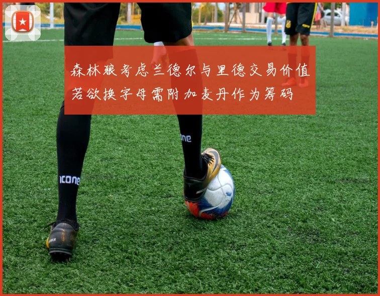 森林狼考虑兰德尔与里德交易价值若欲换字母需附加麦丹作为筹码