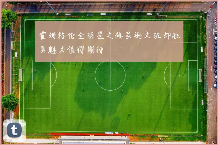 霍姆格伦全明星之路虽逊文班却独具魅力值得期待