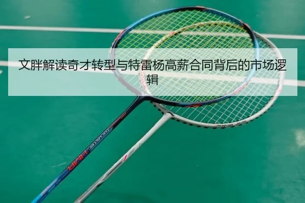 文胖解读奇才转型与特雷杨高薪合同背后的市场逻辑 - hth